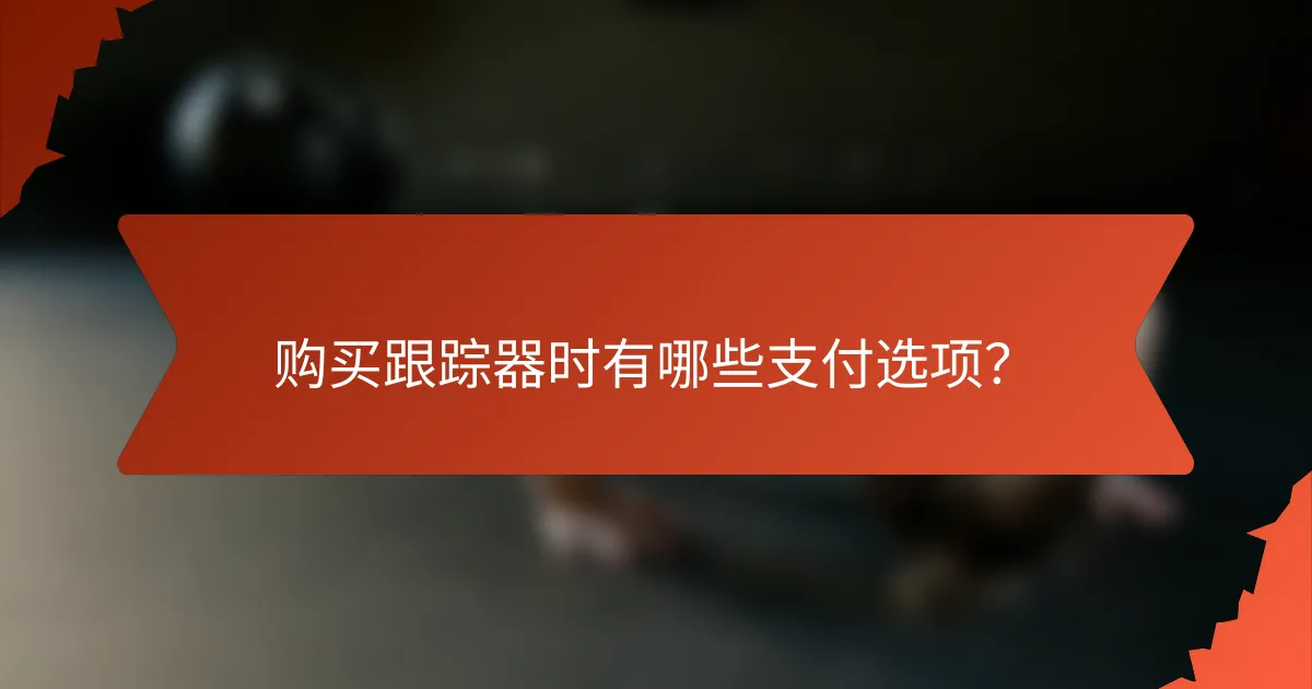 购买跟踪器时有哪些支付选项？