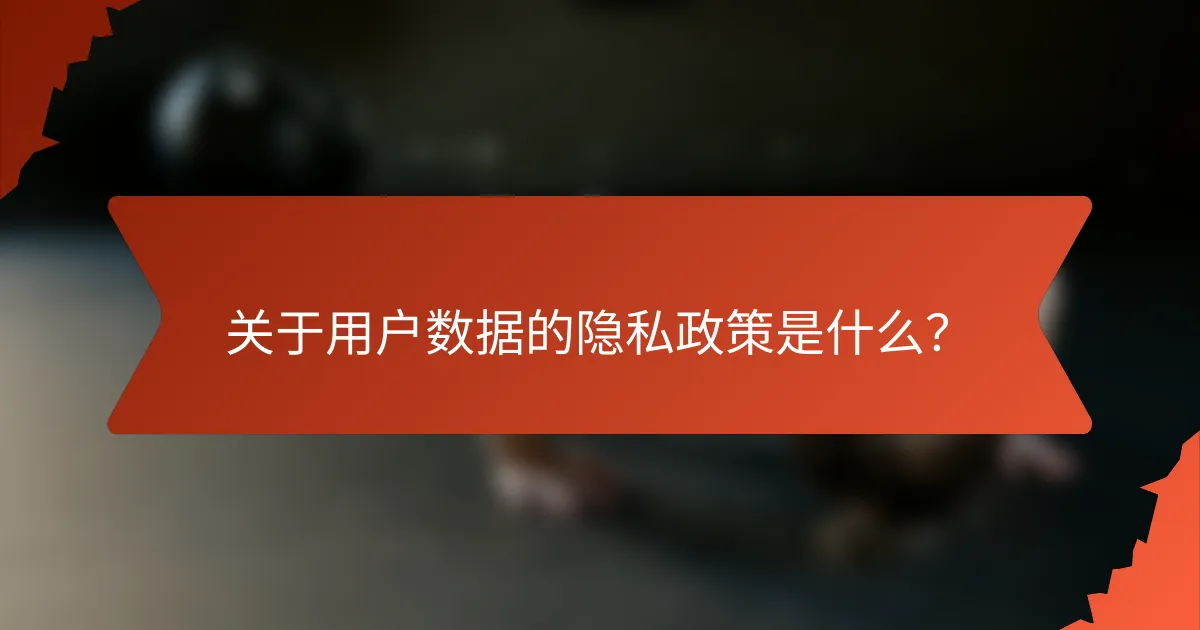 关于用户数据的隐私政策是什么？