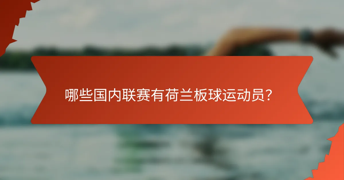 哪些国内联赛有荷兰板球运动员?